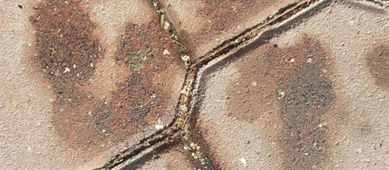 Czyszczenie kostki brukowej – plamy oleju i smaru cz.1