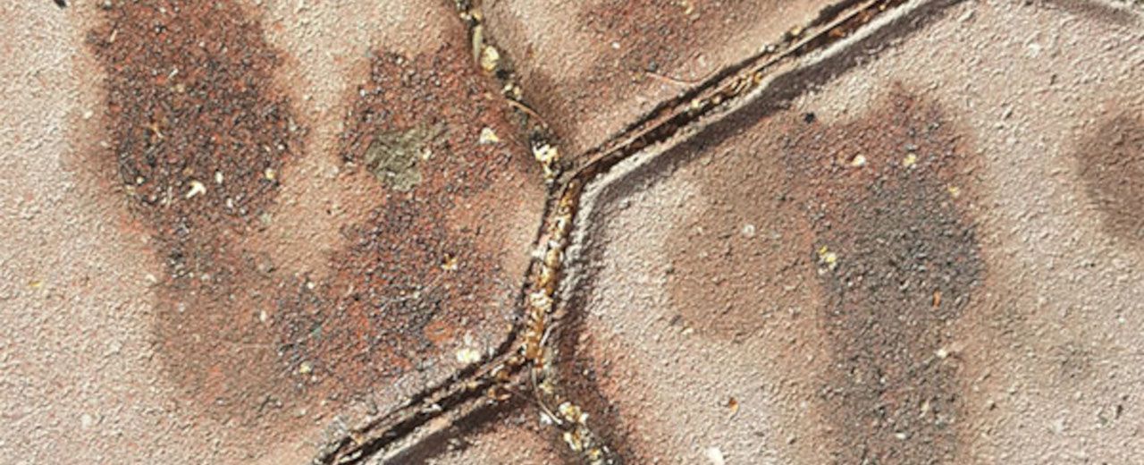 Czyszczenie kostki brukowej – plamy oleju i smaru cz.1